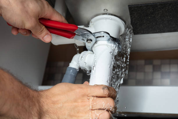 Best Flood restoration services  in Columbus, MT