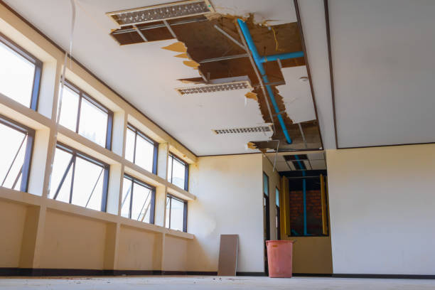 Best Flooded house restoration  in Columbus, MT