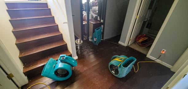 Best 24-hour water damage restoration  in Columbus, MT