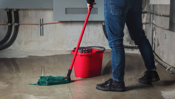 Best Emergency water damage restoration  in Columbus, MT