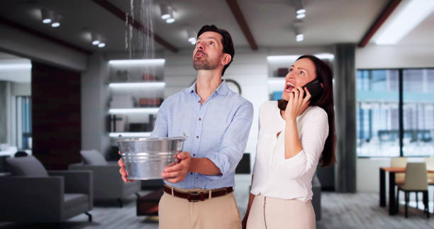 Best Basement water damage restoration  in Columbus, MT